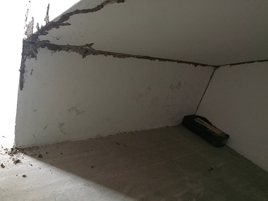 番禺预防白蚁中心正确的灭蚁方式是什么