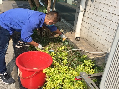天河益伦四害消杀机构厂区专业灭鼠，上门防治更省心